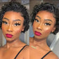 Perruque pixie bouclée avec lace transparente 13x1 de cheveux humains brésilien style water wave